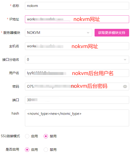 添加 nokvm 子接口，服务器模块选择【NOKVM】界面截图