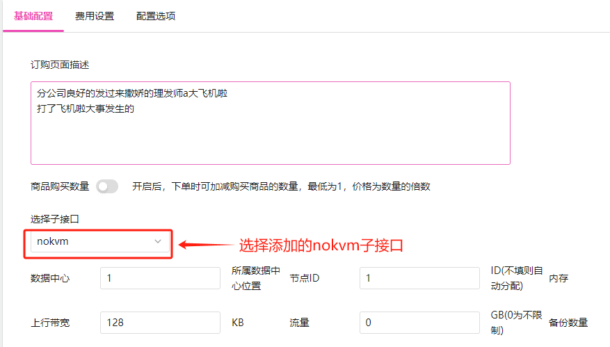 选择子接口：选择步骤 3 添加的 nokvm 子接口，此处选择了子接口后界面截图