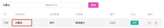 进入业务管理系统后台，点击应用列表，找到流量包，点击名称进入界面截图