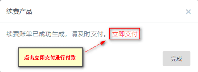 生成账单后，点击立即支付为产品付款处理界面截图