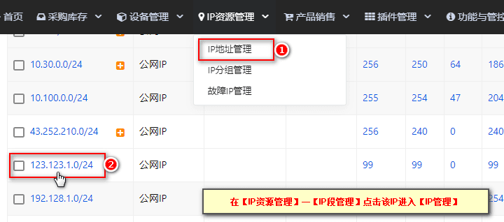 在【IP 资源管理】—【IP 段管理】点击该 IP 进入【IP 管理】，界面截图
