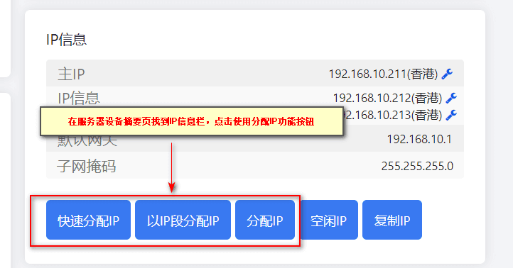 ②找到 IP 信息栏，点击快速分配 IP 进行批量分配 IP 地址界面截图