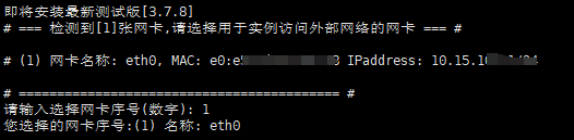 选择实例访问外部网络的网卡