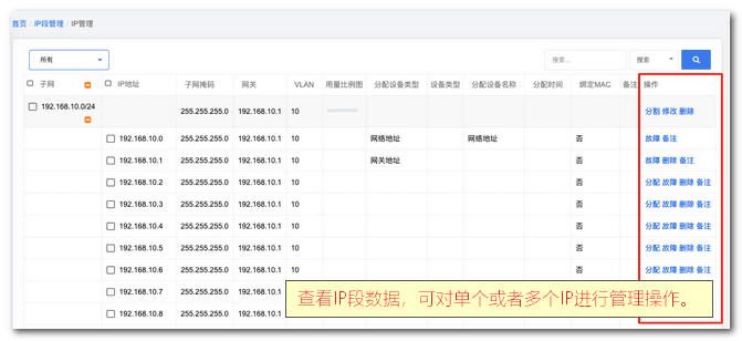 点击查看按钮，可以看到当前 IP 段所有 IP 信息界面截图