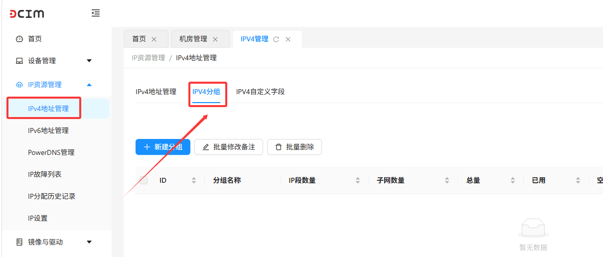 在页面顶部的标签栏中，点击 IPv4 分组 标签界面截图