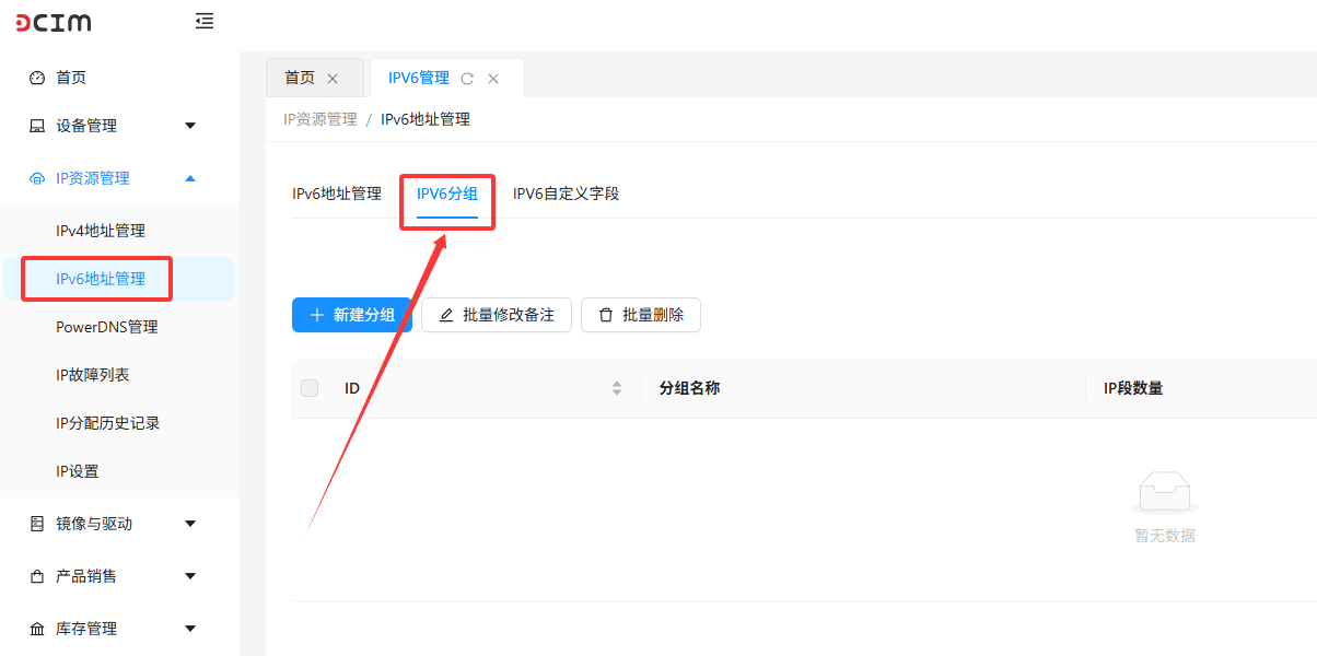 在页面顶部的标签栏中，点击 IPv6 分组 标签界面截图